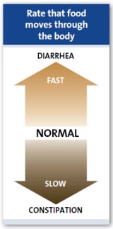 Швидкість, із якою їжа проходить крізь ШКТ