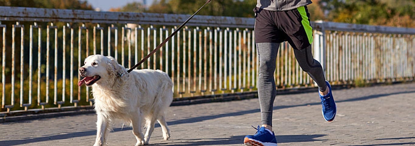 man running with retriever