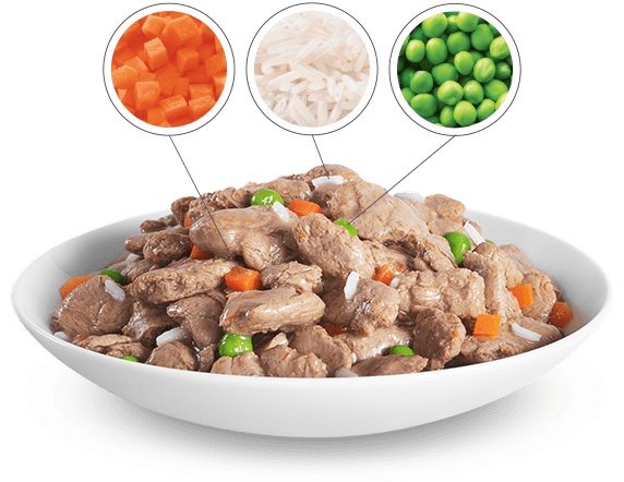 bowl of wet food with highlighted ingredients