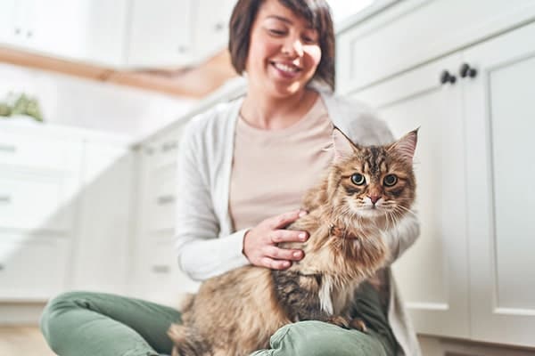 photo of woman with cat on her lap