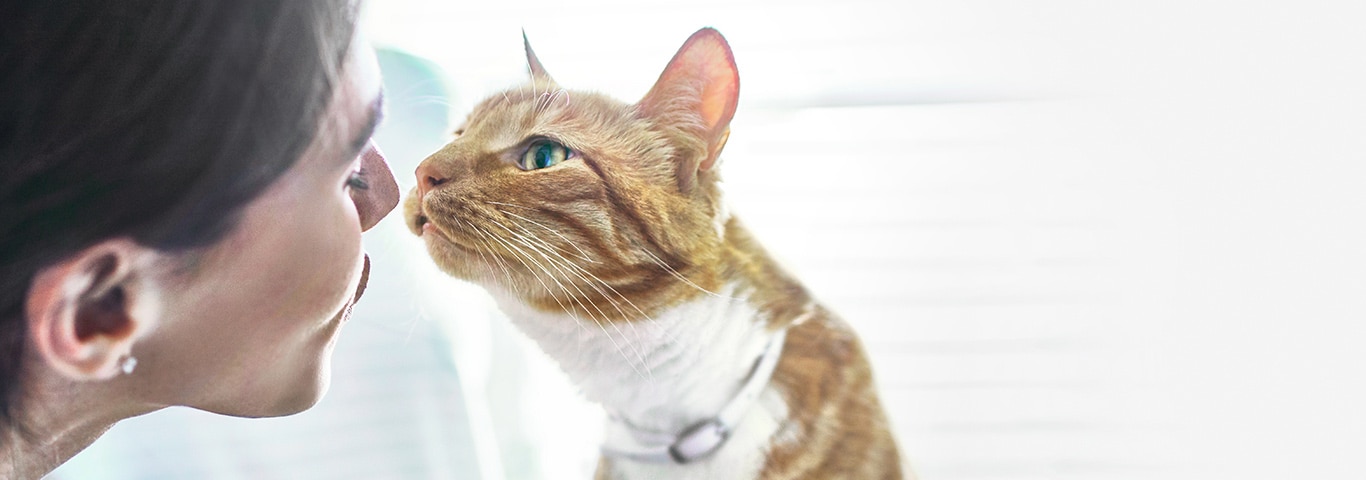 Hill’s та ветеринарні лікарі