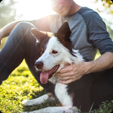 Kāds vīrietis sēž zālē, aiz muguras spīd saule, un smaida, samīļojot savu melnbalto robežkolliju. 