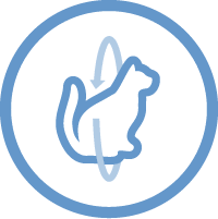 overall organ function icon