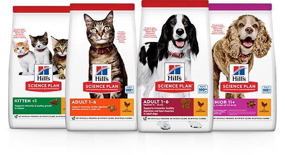 пакетики сухого корму для домашніх тварин hill's science diet