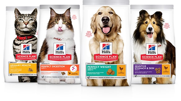 пакетики сухого корму для домашніх тварин hill's science diet